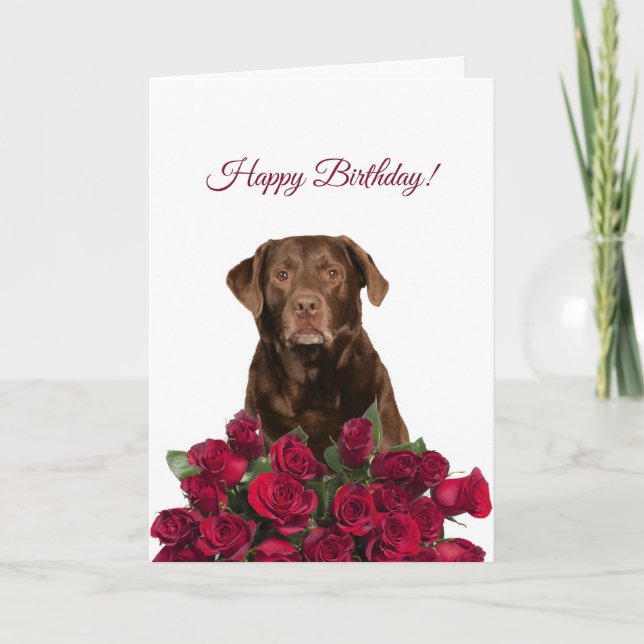Labrador Rosas de perros recuperadores tarjeta de  (Anverso)