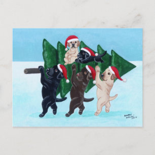 Labradores de árboles de Navidad en campo de nieve