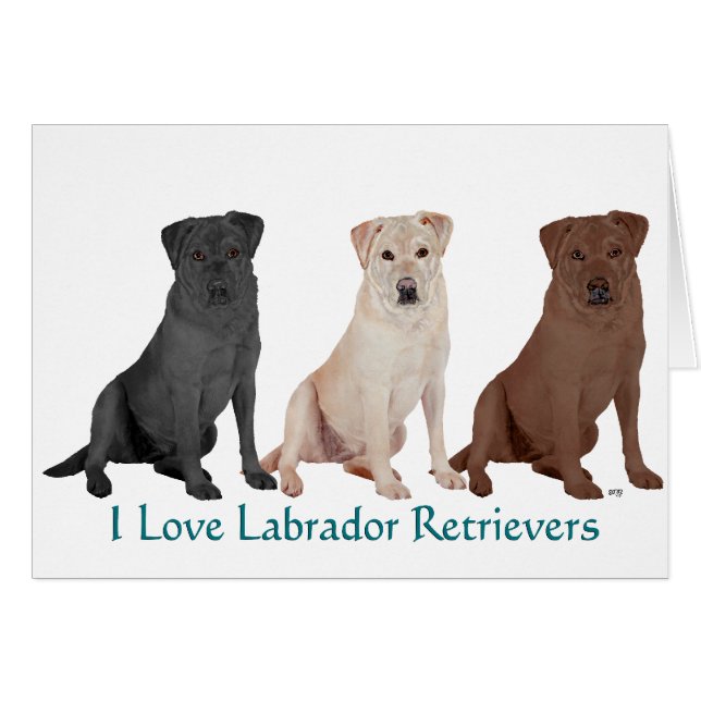 Labradores Retriever - 3 Colores para Amar (Anverso (Horizontal))