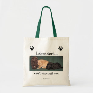 Labradors… no puede tener apenas una bolsa de asas