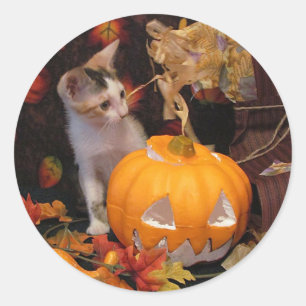 Lacey - Gatos / Pegatinas de Gatitos de Halloween