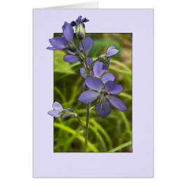 Ladder de Jacob - Tarjeta de arte de 5" x 7"