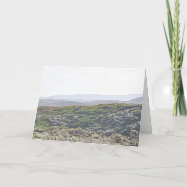 Ladera de Reyes del punto - tarjeta de (Anverso)