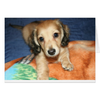 lado a lado o a millas separadas