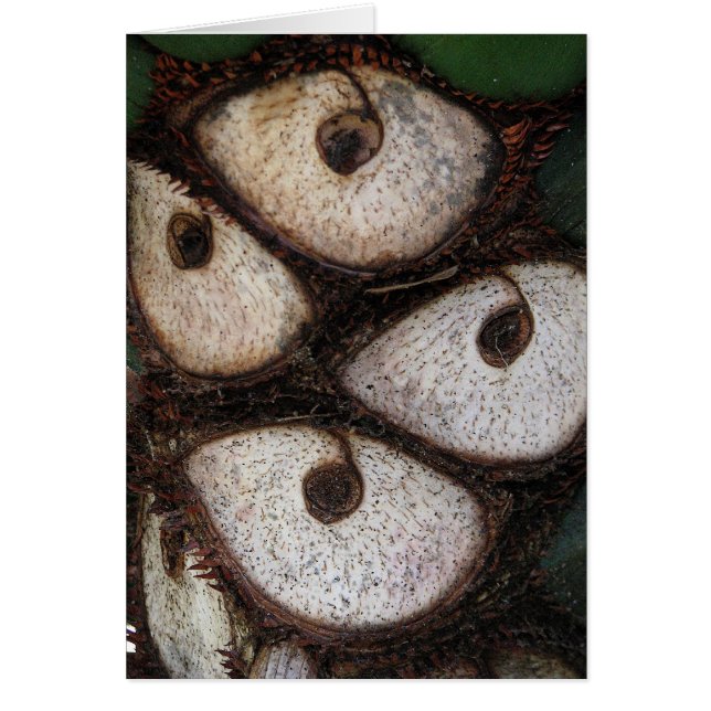 Lado de la palma (Frente)