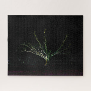 Lado oscuro 1 16x20 520pc jpcn rompecabezas