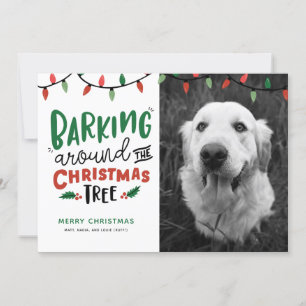 Ladrando alrededor del árbol de Navidad Perro Navi
