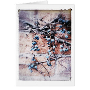 Ladrillo de invierno y vino todas las ocasiones en