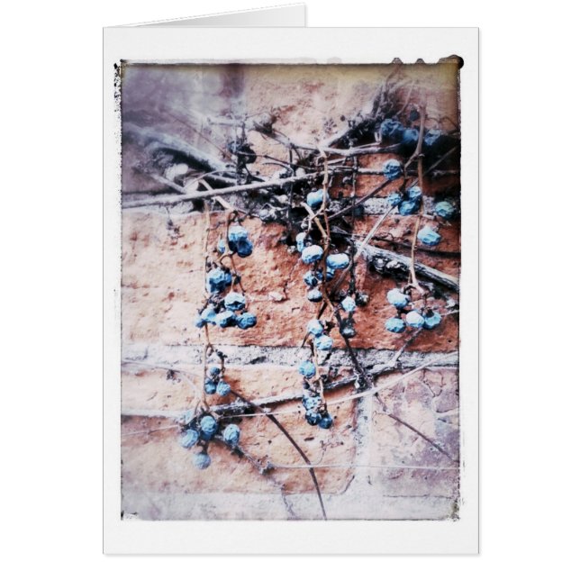 Ladrillo de invierno y vino todas las ocasiones en (Frente)