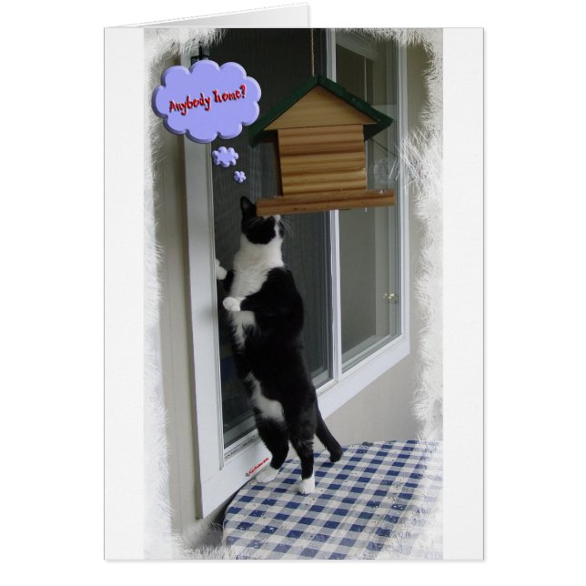 Ladrón de gato (Frente)