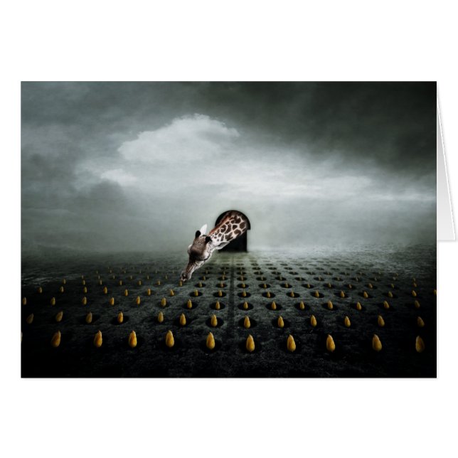 ladrón de tulipán 2 2013 (Anverso (Horizontal))