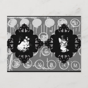 Lady Abigail y la postal del gato Sir Oswin