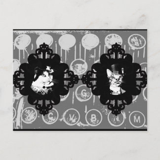 Lady Abigail y la postal del gato Sir Oswin