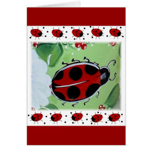 Lady-Bug