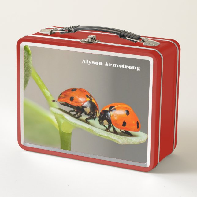Lady Bugs (Anverso)