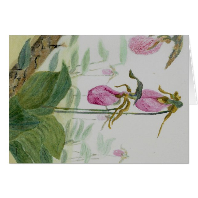 Lady Slippers (Anverso (Horizontal))