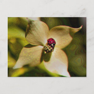 Ladybug En La Postales De Flower Digital Art