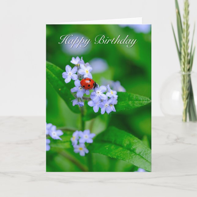 Ladybug en la tarjeta de cumpleaños Olvidadme-no-m (Anverso)