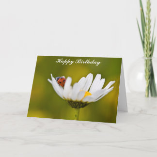 Ladybug en la tarjeta de cumpleaños Oxeye Daisy