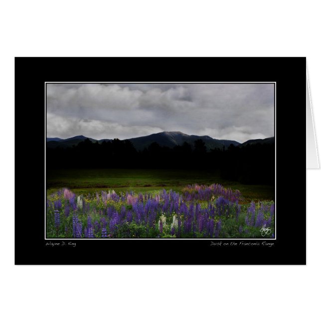 Lafayette Lupine Mindscape (Anverso (Horizontal))