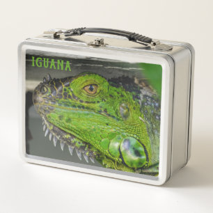 Lagarto de cerca fotográfico Iguana Verde