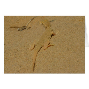 Lagarto de Dedos Franjados de Mojave