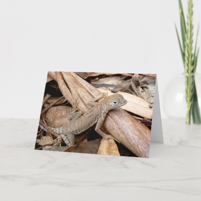 Lagarto en la tarjeta de felicitación seca de las (Anverso)