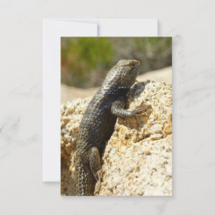 Lagarto Espinoso de Dorso Amarillo en Joshua Tree