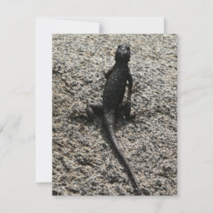 Lagarto Negro