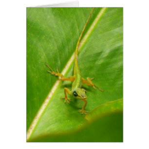 Lagarto verde en hoja verde