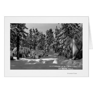 Lago Big Bear, CA en la nieve de invierno