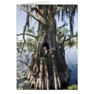 Lago Caddo, escondite de caza