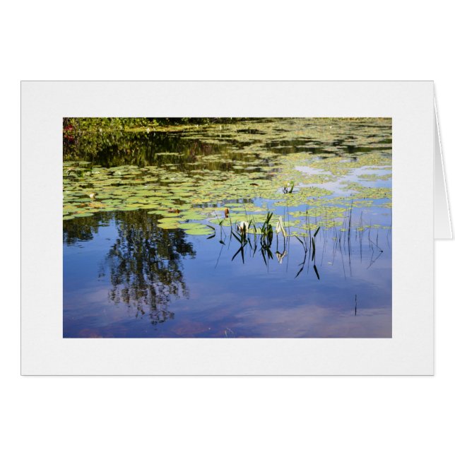 Lago Caroline (Anverso (Horizontal))