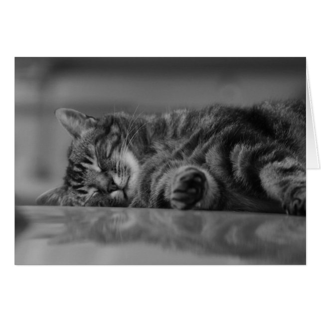 Lago Como Cat - 3 B&W (Anverso (Horizontal))