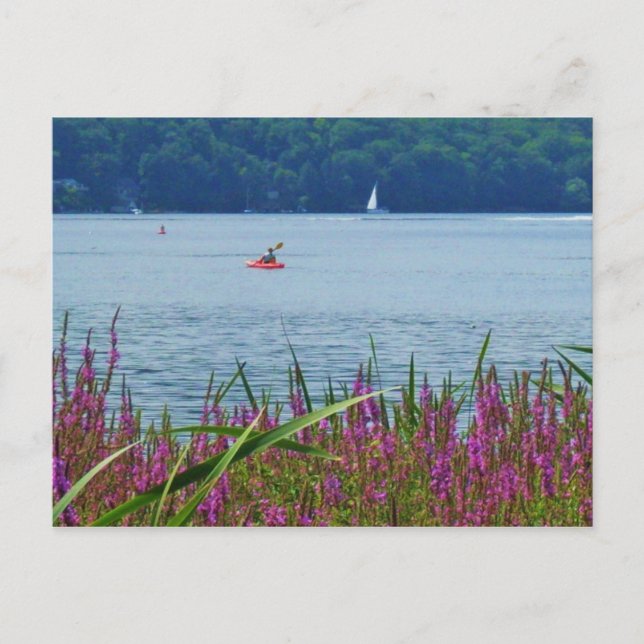 LAGO DE CAYUGA, ITHACA, postal de N.Y. (Anverso)