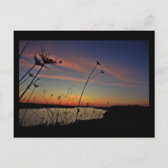 lago de la postal de los ozarks (Anverso)