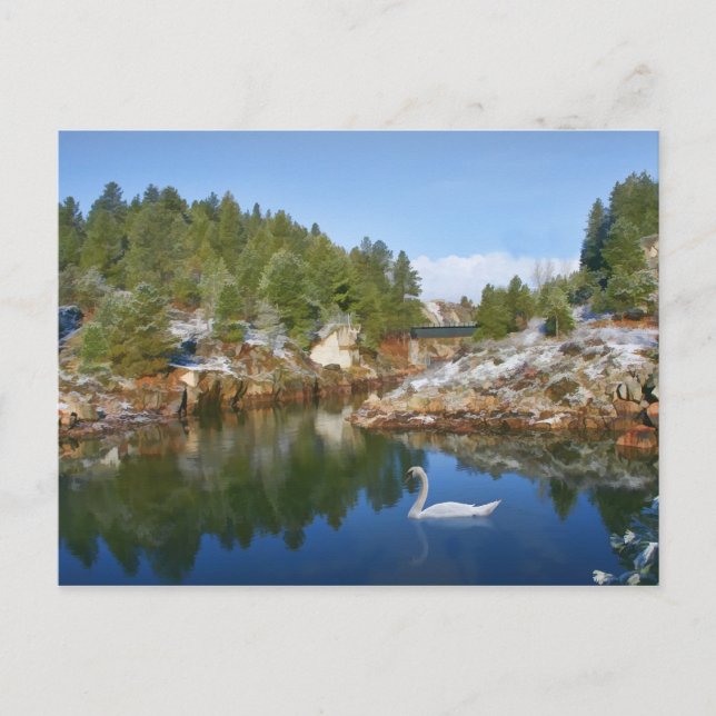 Lago de montaña, cisne, postal de reflexión (Anverso)