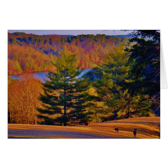 Lago Deer & Mt (Anverso (Horizontal))