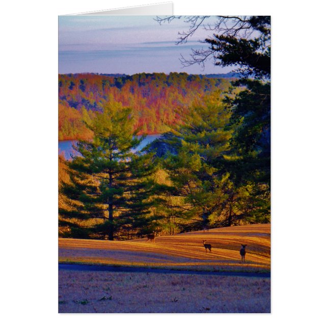 Lago Deer & Mt (Frente)
