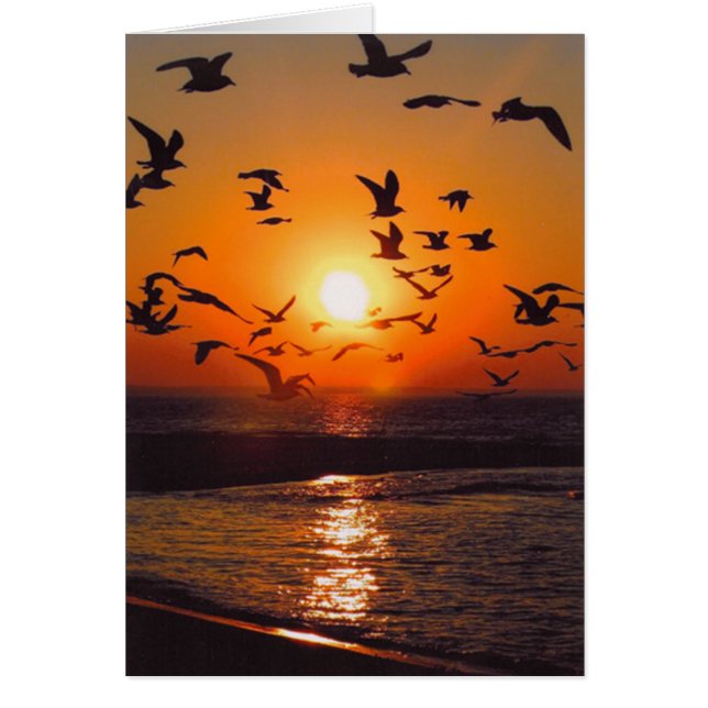 Lago Erie Sunset (Frente)