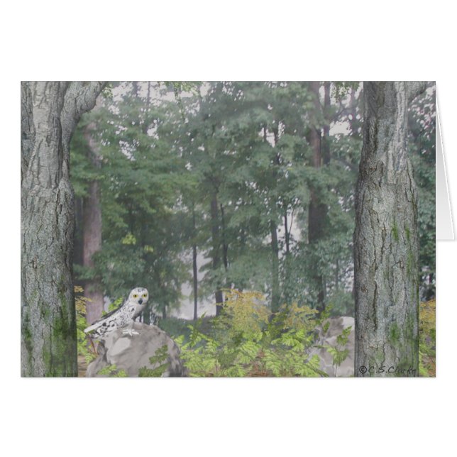 Lago Foggy (Anverso (Horizontal))