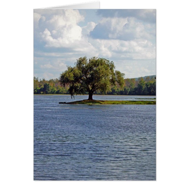 Lago Iron Mountain (Frente)