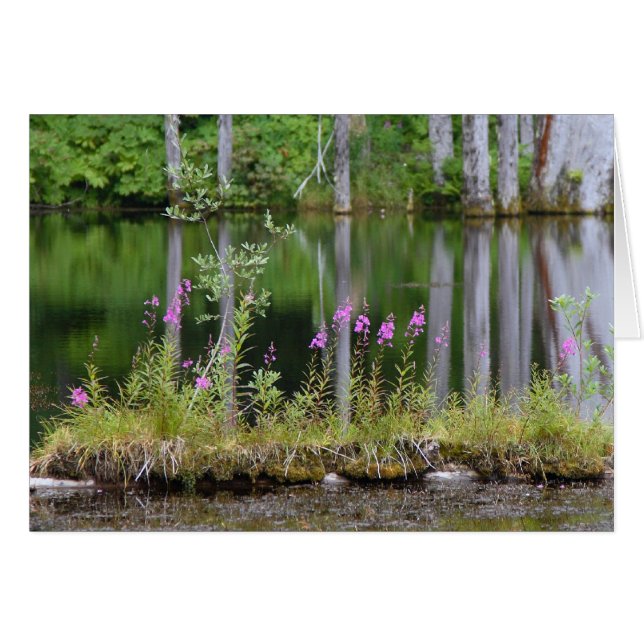 Lago june (Anverso (Horizontal))