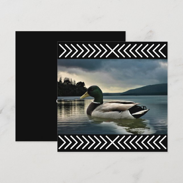 Lago Mallard Duck (Anverso / Reverso)