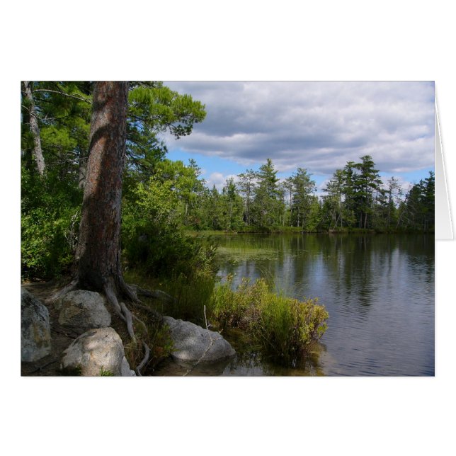 lago nelligan (Anverso (Horizontal))