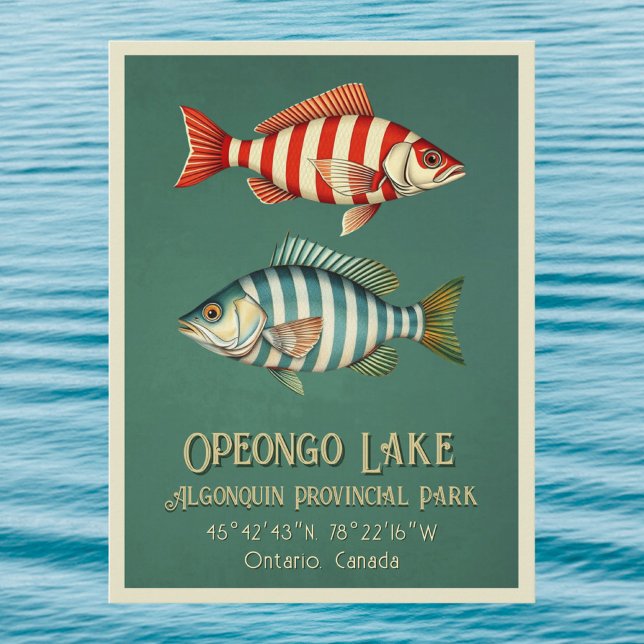 Lago Opeongo Ontario Canadá tarjeta postal de pece (Subido por el creador)