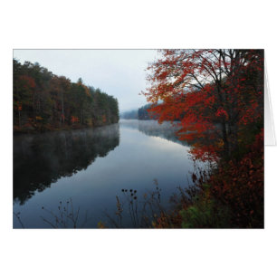 Lago Seed