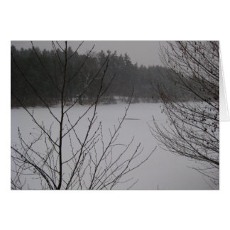 Lago Snowy II
