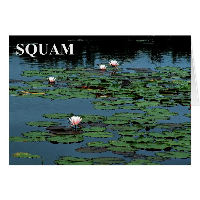 Lago Squam Lilies (Anverso (Horizontal))