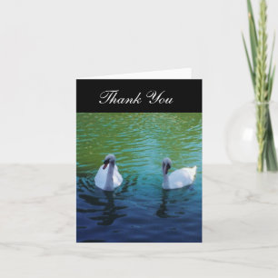 Lago swan - gracias las tarjetas